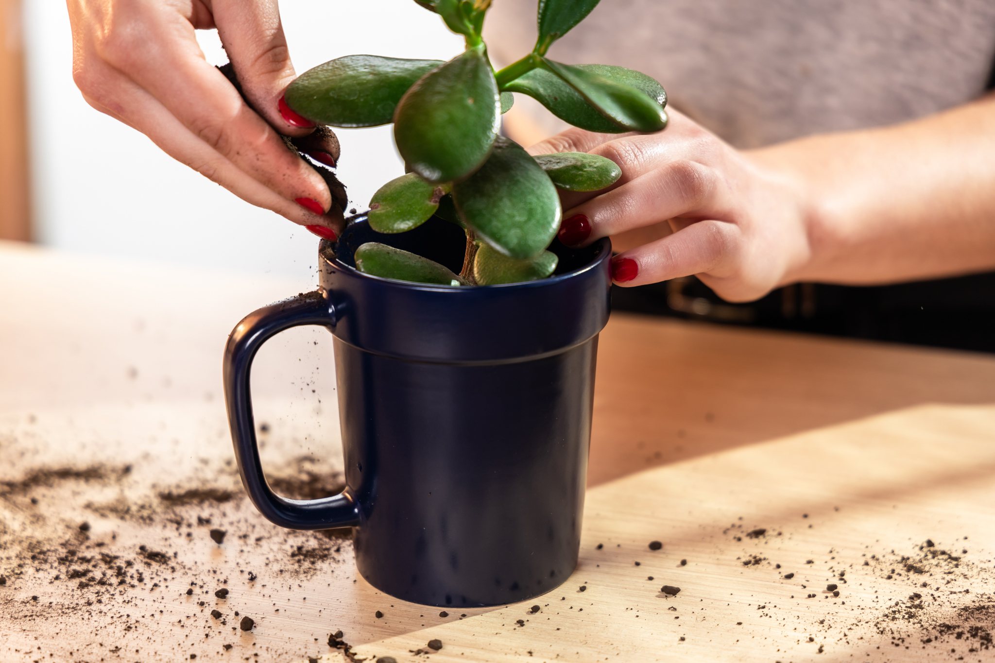16 oz Planter Mug 1