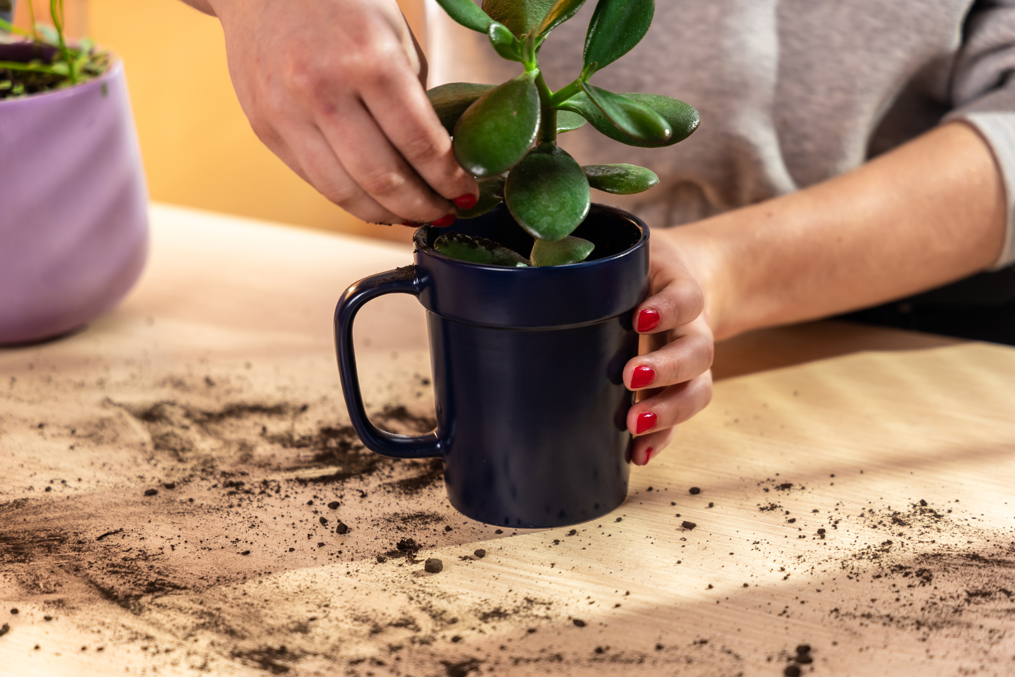 16 oz Planter Mug 1