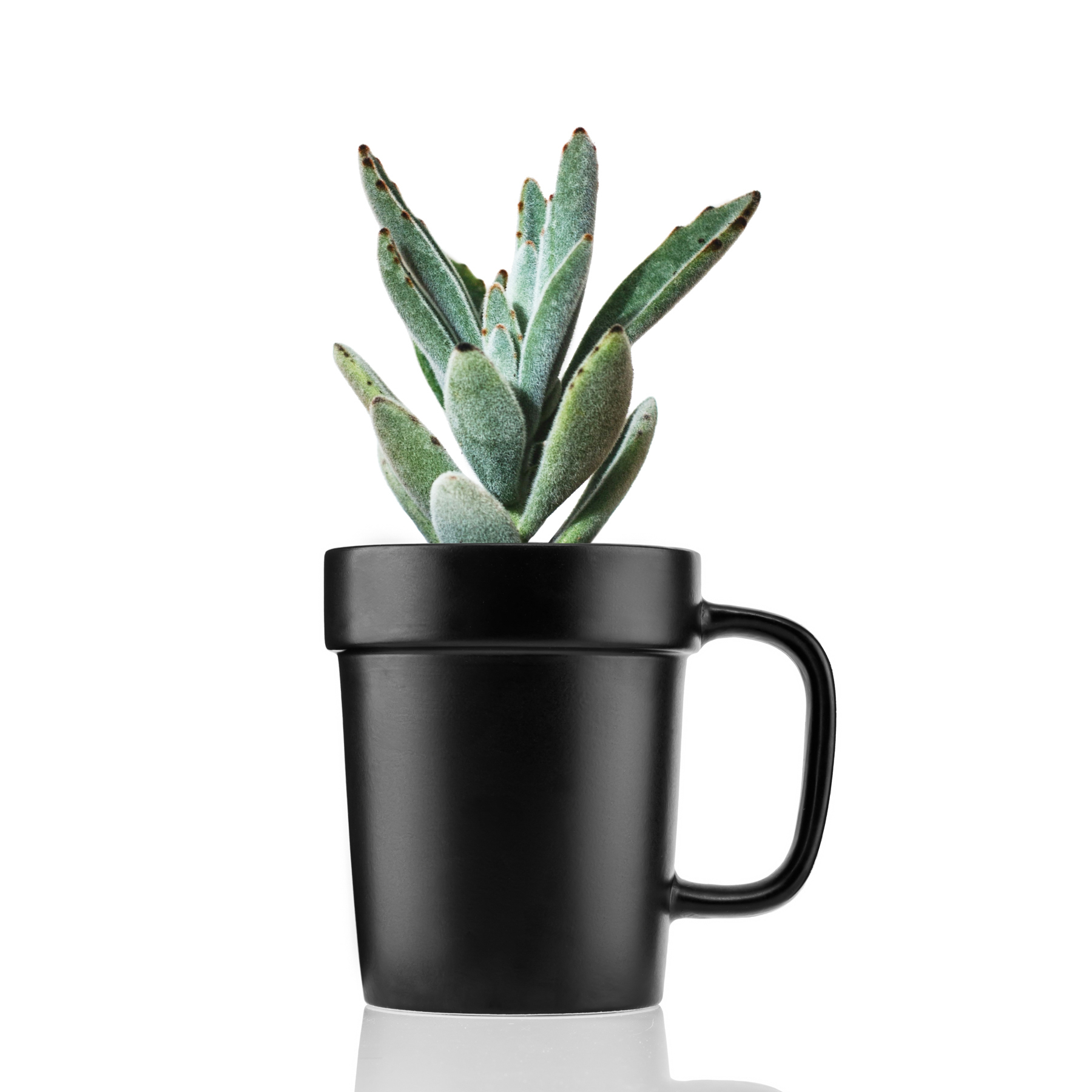 16 oz Planter Mug 1