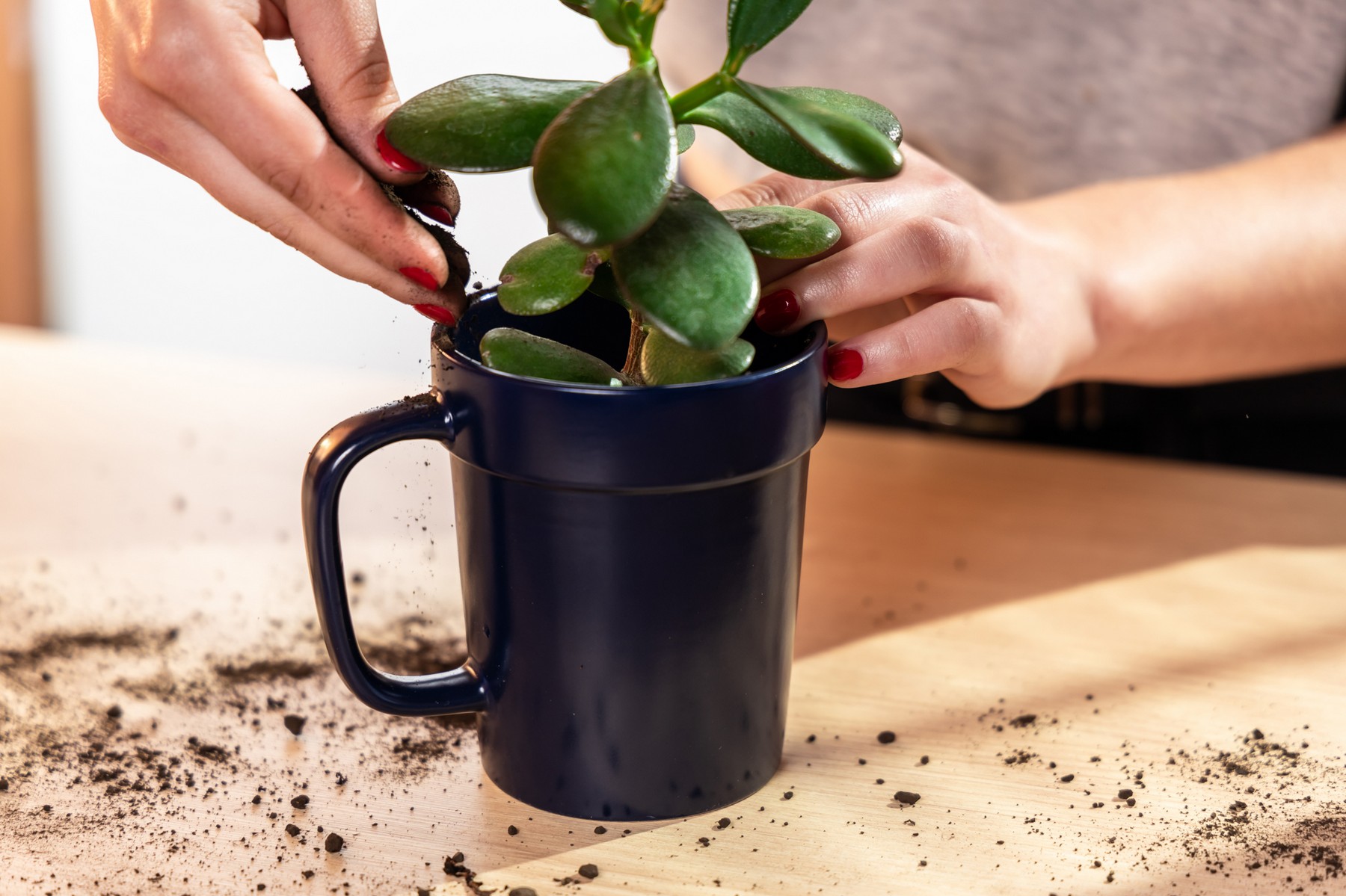 16 oz Planter Mug 1