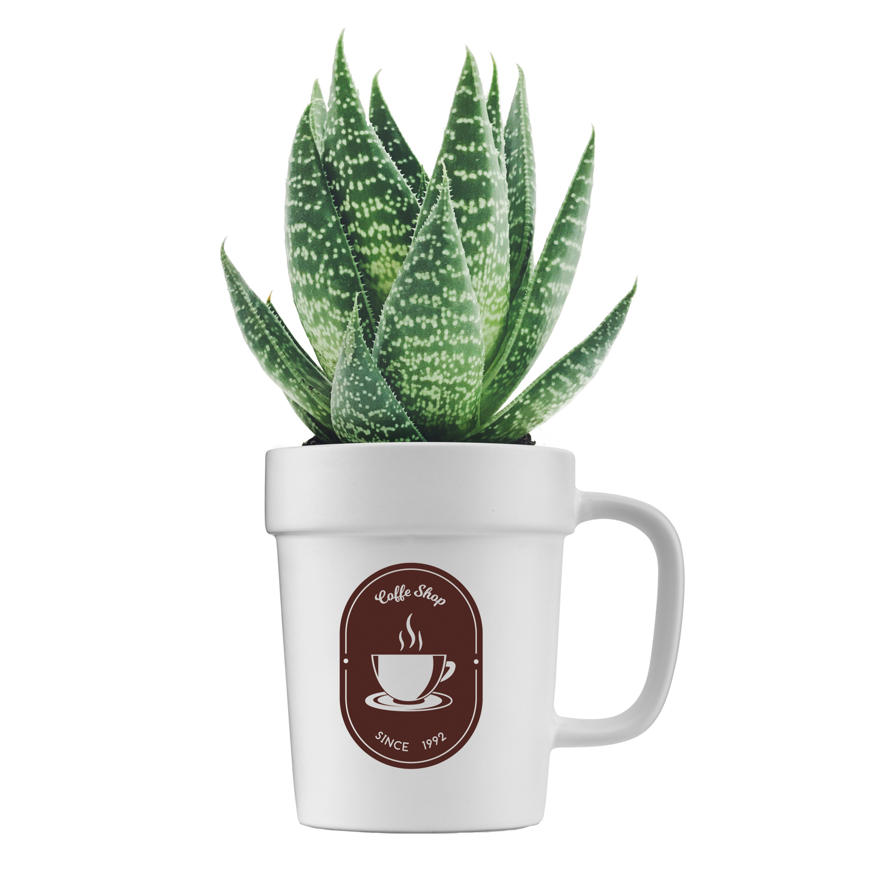 16 oz Planter Mug 1