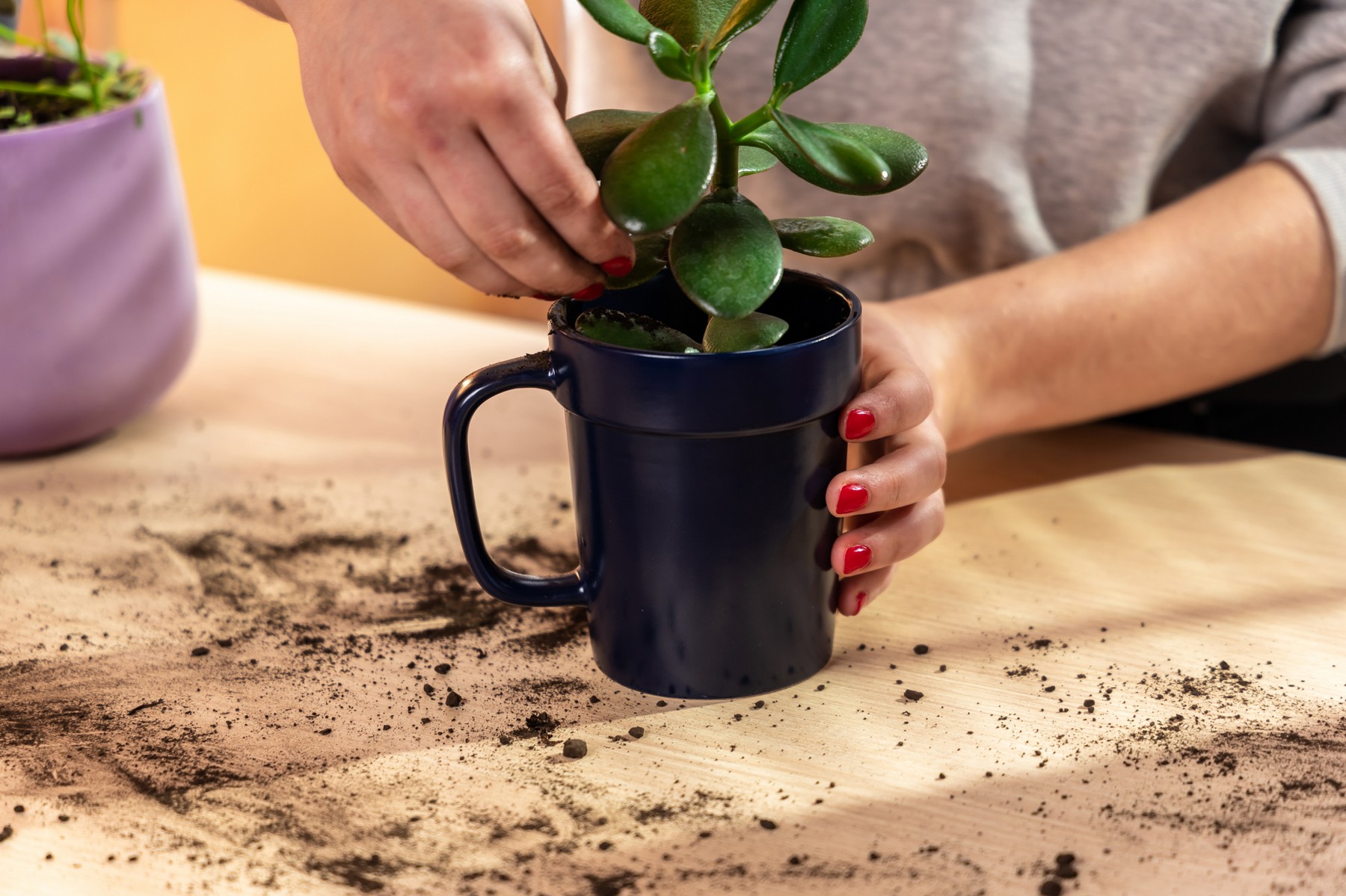 16 oz Planter Mug 1