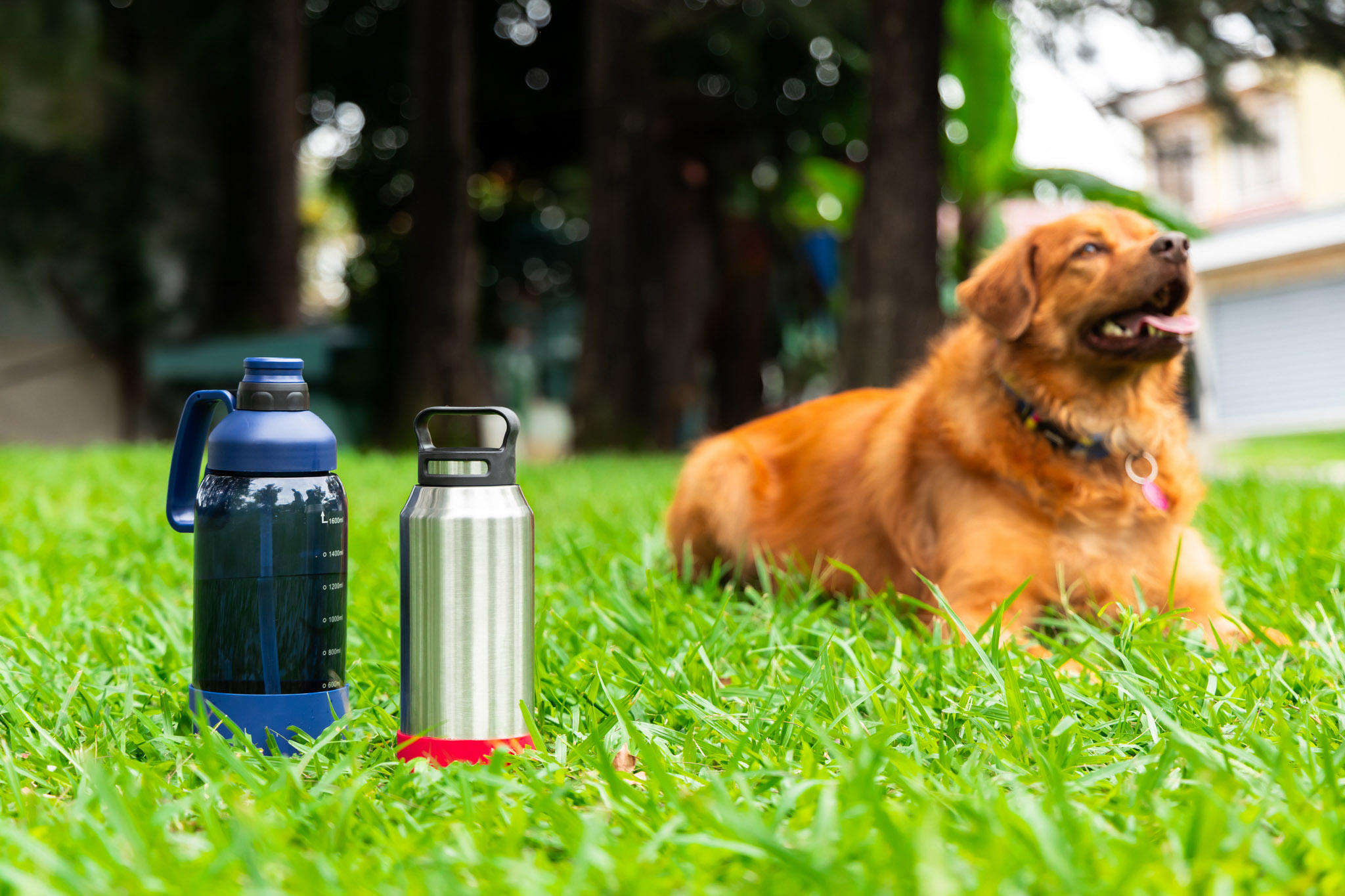 32 oz Growler Bottle w/Silicone Bowl 1