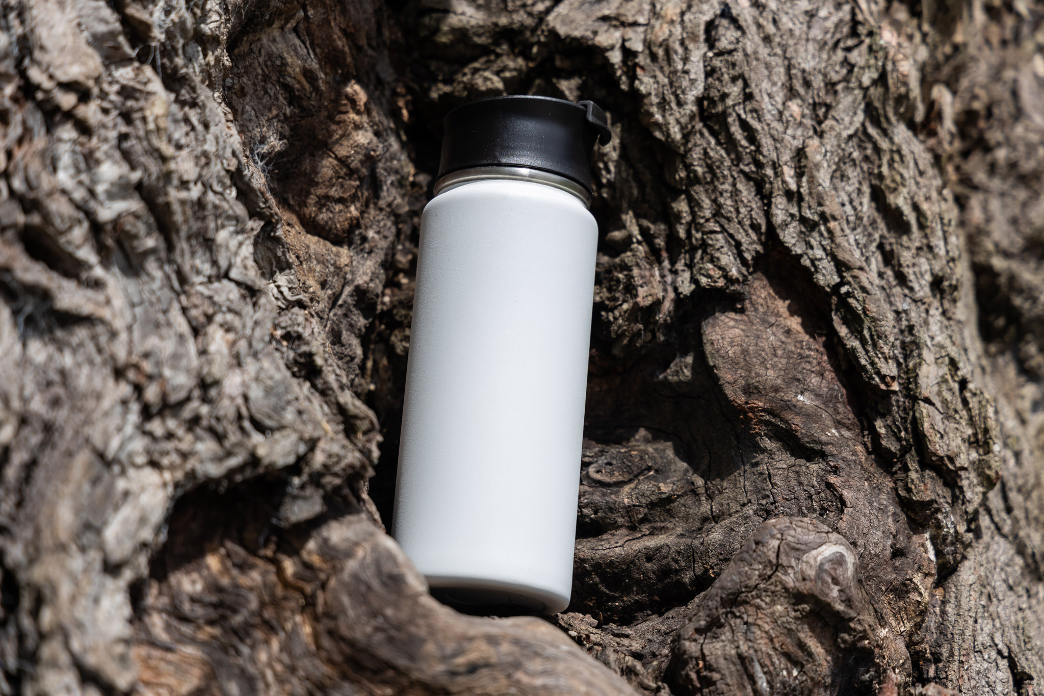 20 oz Everest Tumbler 1