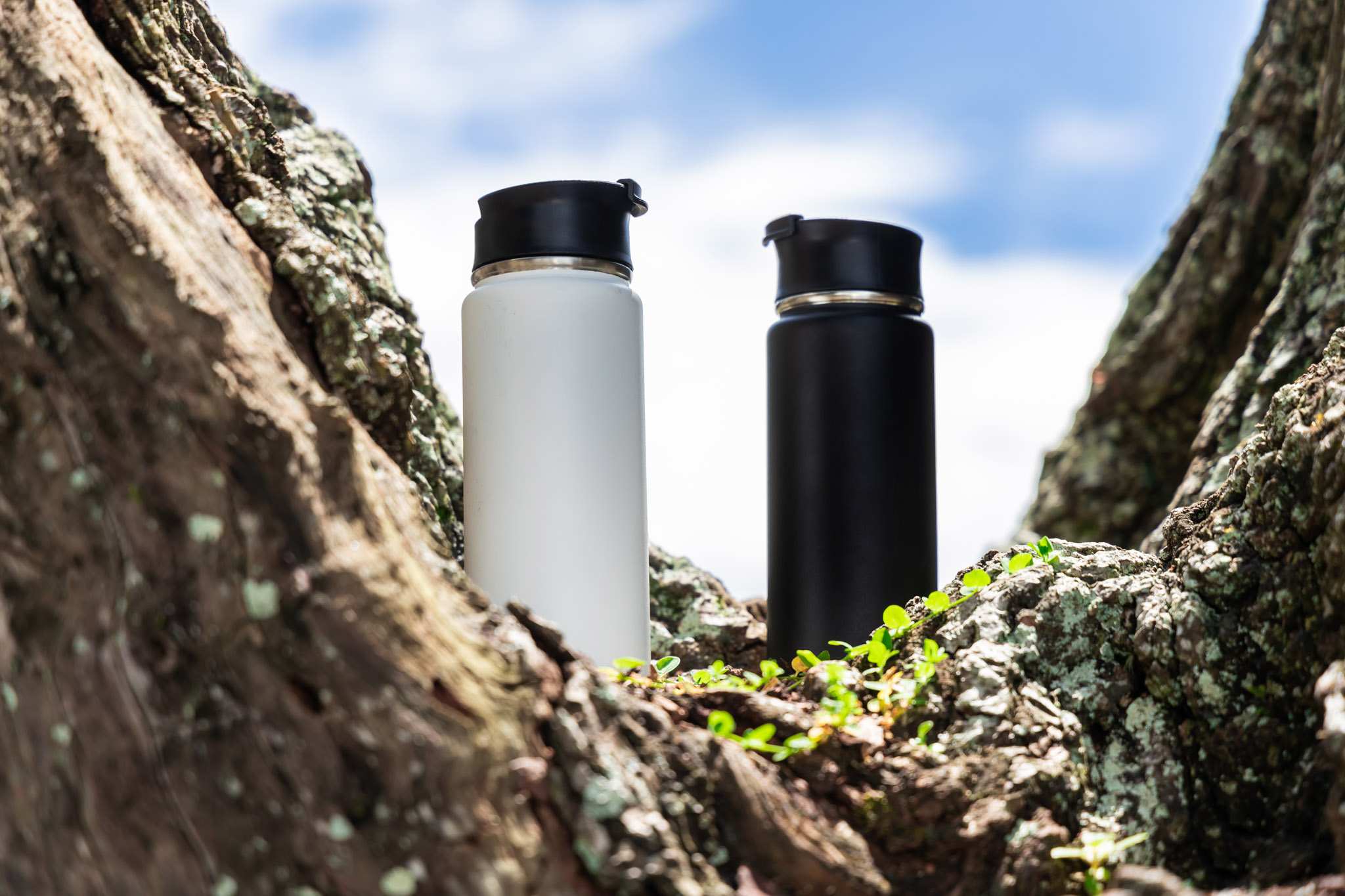 20 oz Everest Tumbler 1