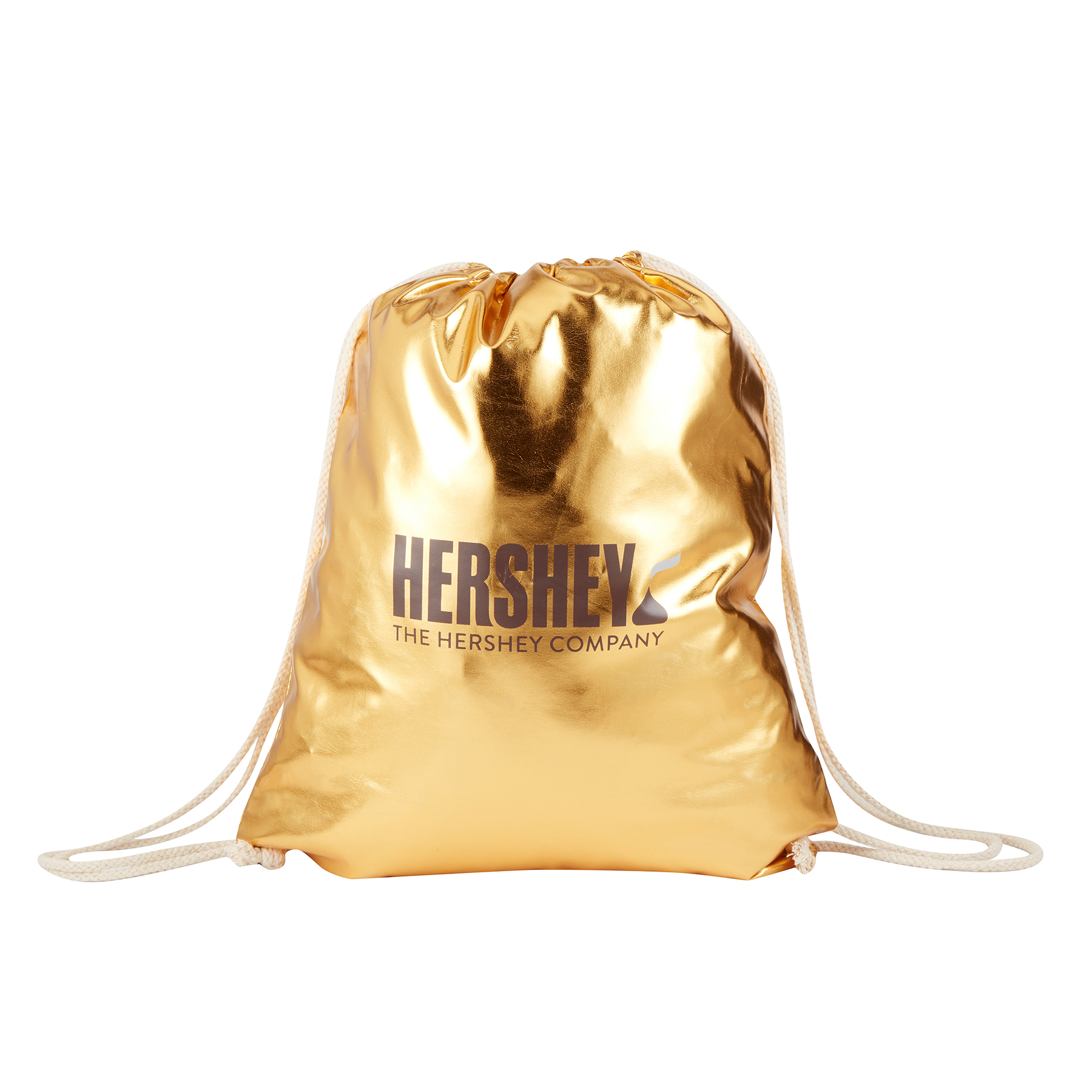Metallic Drawstring Backpack 1