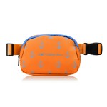 Fanny Pack Belt Bag 1 Fanny Pack Belt Bag 1