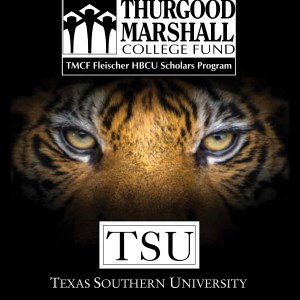 Academic Full Color Planners (8 ¼"x 10 ¾") 1 Academic Full Color Planners (8 ¼"x 10 ¾") 1