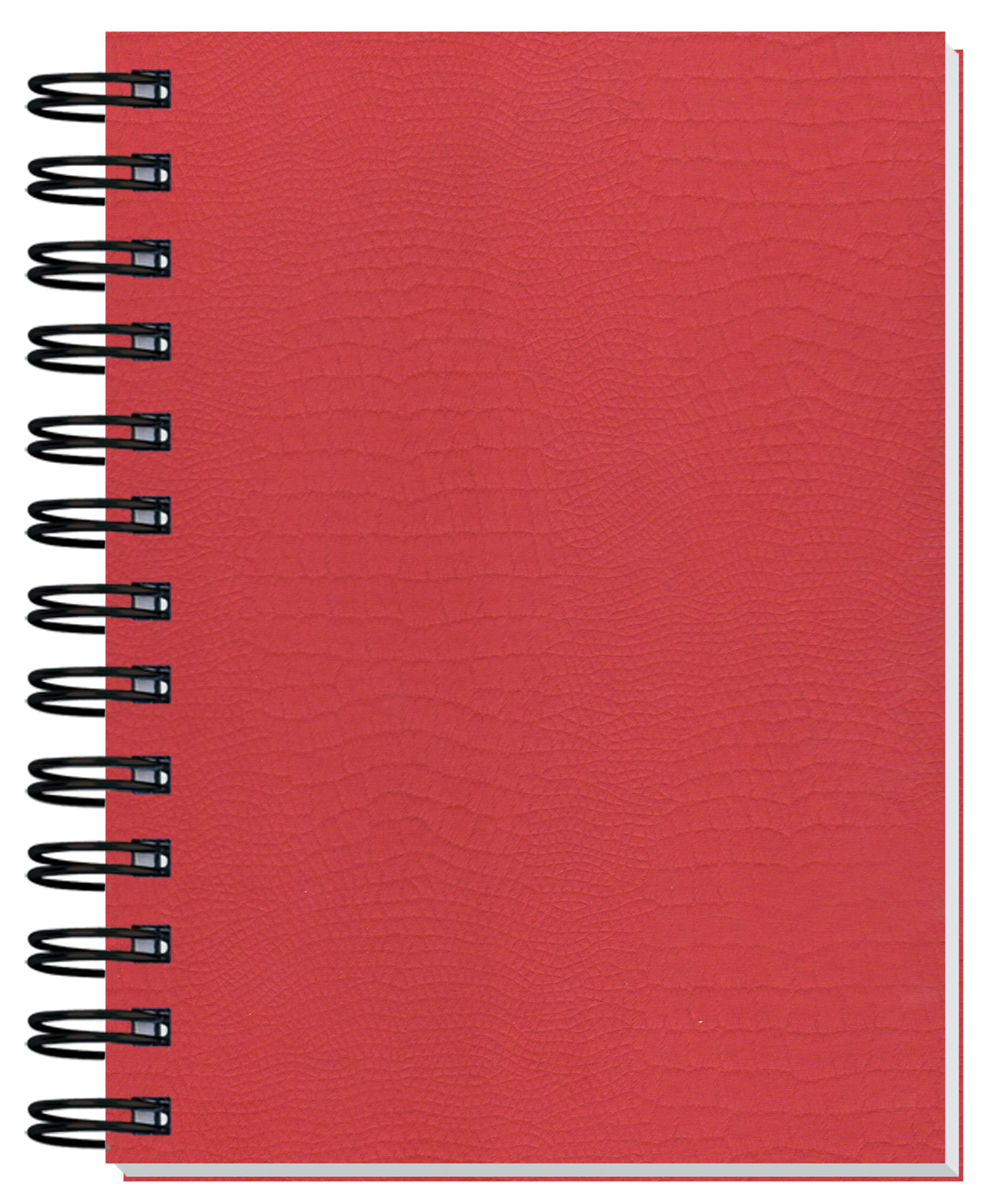 Embossed Alligator Textured Journal w/100 Sheets (5"x 7") 1