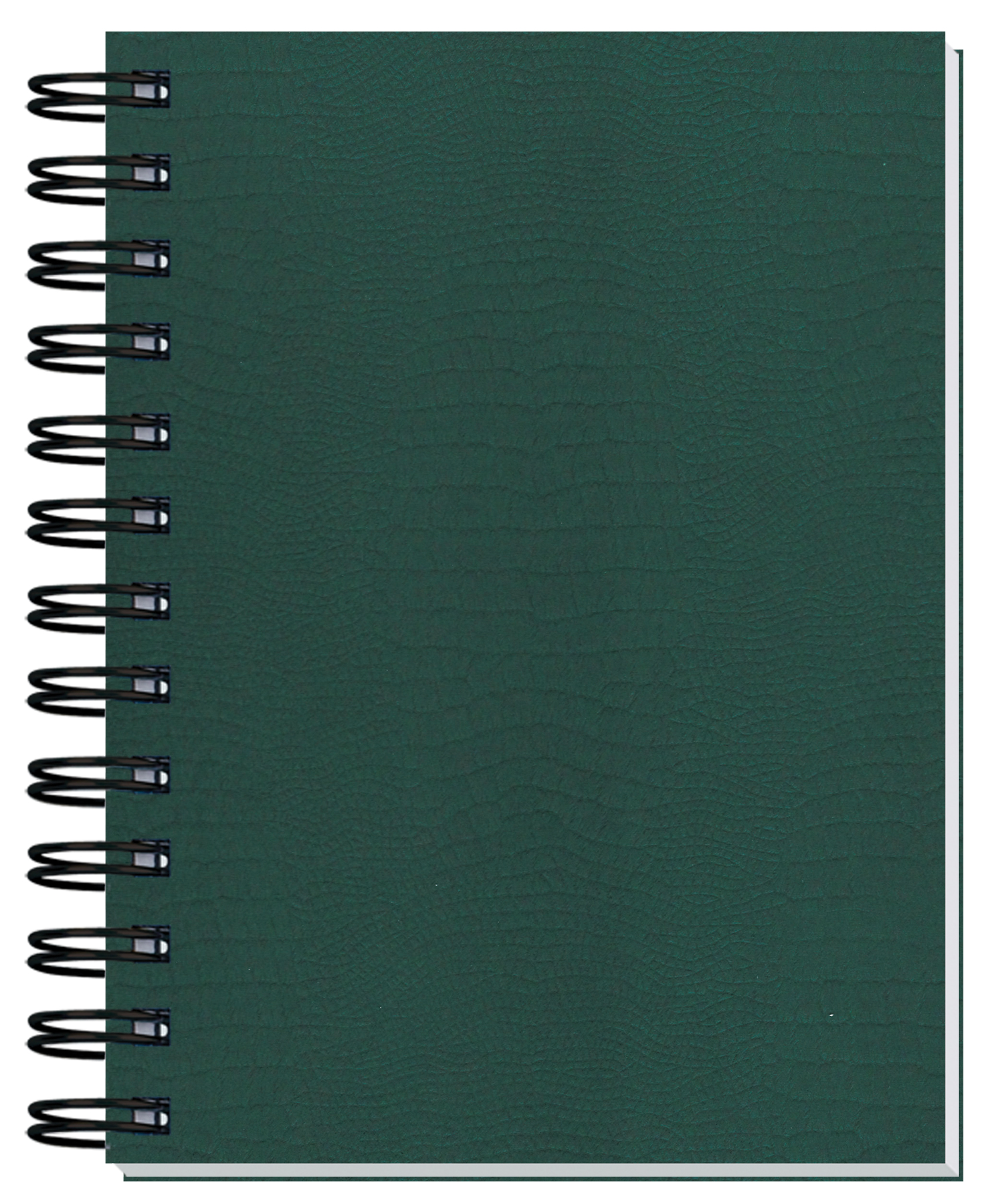Embossed Alligator Textured Journal w/100 Sheets (5"x 7") 1