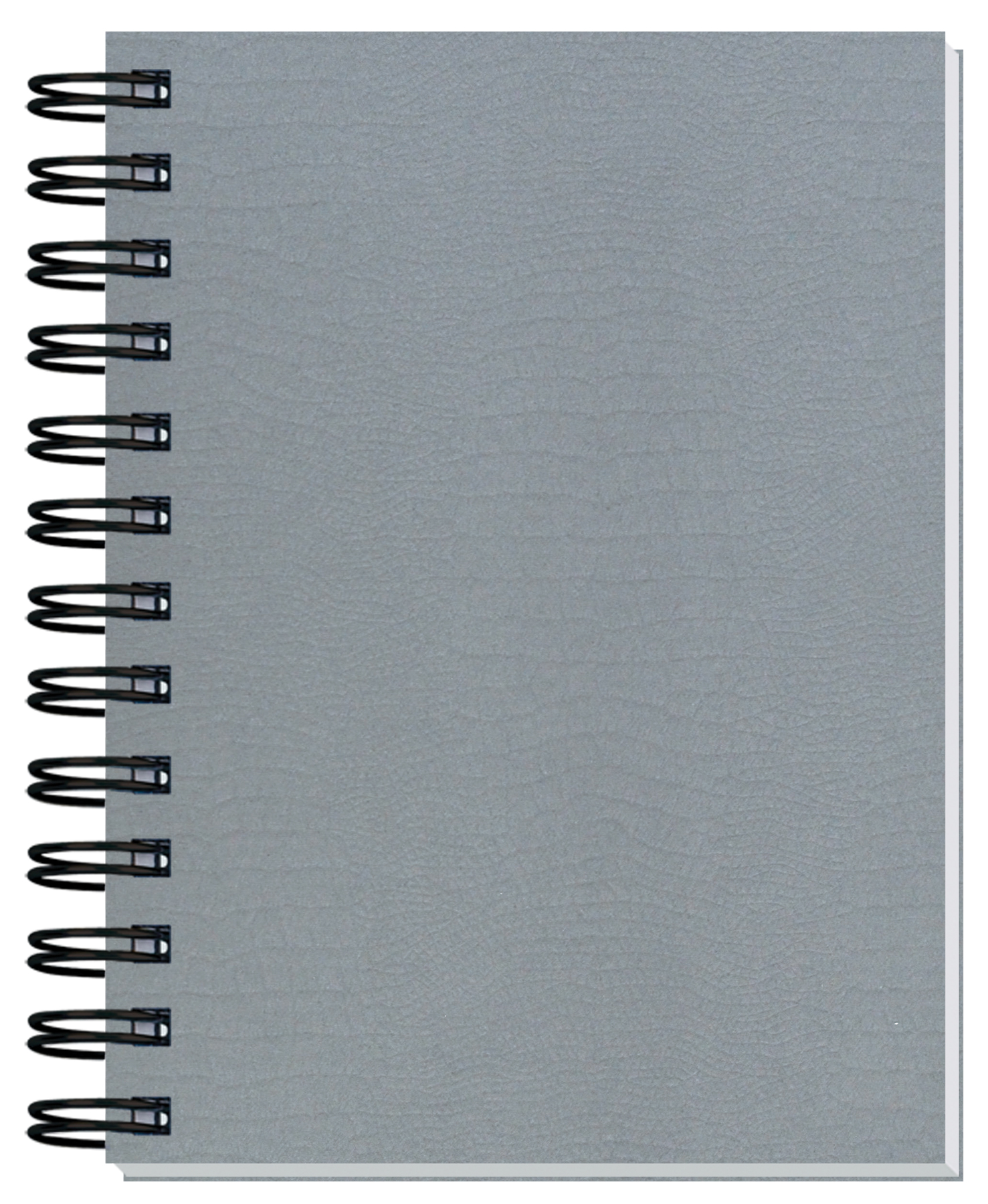 Embossed Alligator Textured Journal w/100 Sheets (5"x 7") 1