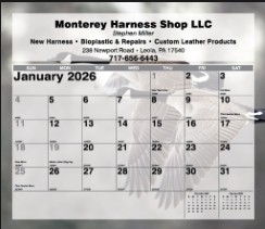 Mini Tear Off Sheet Calendar - Wildlife 1 Mini Tear Off Sheet Calendar - Wildlife 1