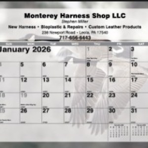 Mini Tear Off Sheet Calendar - Wildlife 1 Mini Tear Off Sheet Calendar - Wildlife 1