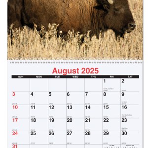 Wildlife Monthly Wall Calendar w/Coil Binding (10 5/8"x 18 ¼") 1 Wildlife Monthly Wall Calendar w/Coil Binding (10 5/8"x 18 ¼") 1