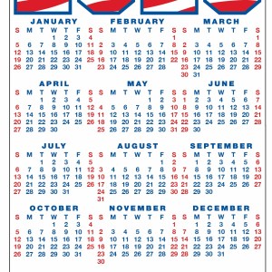 Flag Calendar Magnet (3.84"x 6.6") 1 Flag Calendar Magnet (3.84"x 6.6") 1