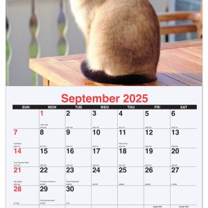 Furever Friends Monthly Wall Calendar w/Staples (10 5/8"x18¼") 1 Furever Friends Monthly Wall Calendar w/Staples (10 5/8"x18¼") 1