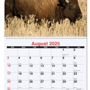 American Wildlife Monthly Wall Calendar w/Coil Bound (10 5/8"x18¼") 1 American Wildlife Monthly Wall Calendar w/Coil Bound (10 5/8"x18¼") 1
