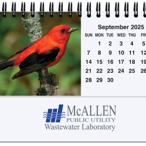 Bird Watching Tent Desk Calendar (5 13/16"x 4 ½") 1 Bird Watching Tent Desk Calendar (5 13/16"x 4 ½") 1