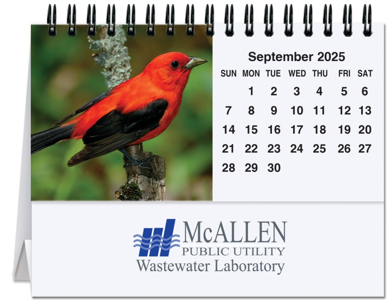 Bird Watching Tent Desk Calendar (5 13/16"x4½") 1 Bird Watching Tent Desk Calendar (5 13/16"x4½") 1