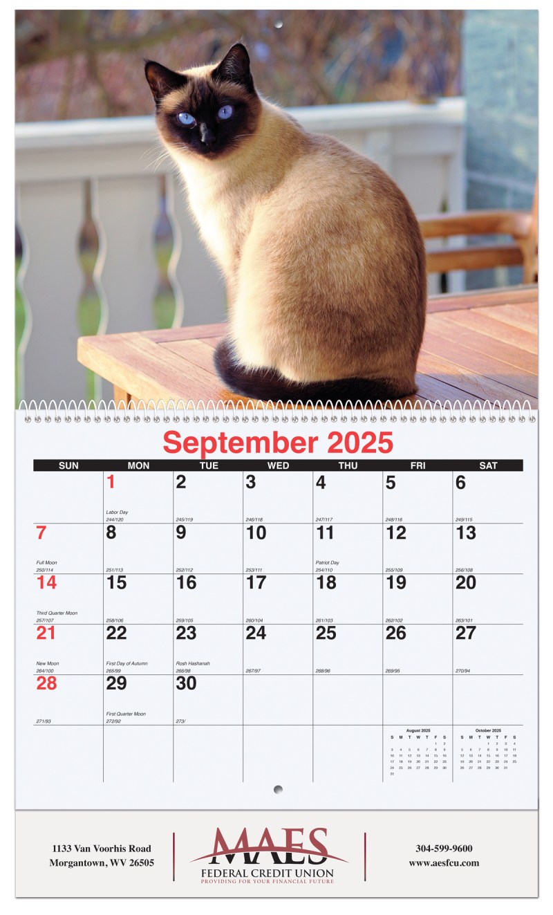 Furever Friends Monthly Wall Calendar w/Coil Binding (10 5/8"x 18 ¼") 1 Furever Friends Monthly Wall Calendar w/Coil Binding (10 5/8"x 18 ¼") 1