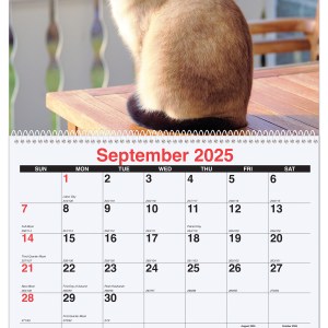 Furever Friends Monthly Wall Calendar w/Coil Binding (10 5/8"x18¼") 1 Furever Friends Monthly Wall Calendar w/Coil Binding (10 5/8"x18¼") 1