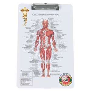 Low Profile Legal Clipboard w/Digital Imprint 1 Low Profile Legal Clipboard w/Digital Imprint 1
