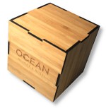 Bamboo Logo Cube 1 Bamboo Logo Cube 1