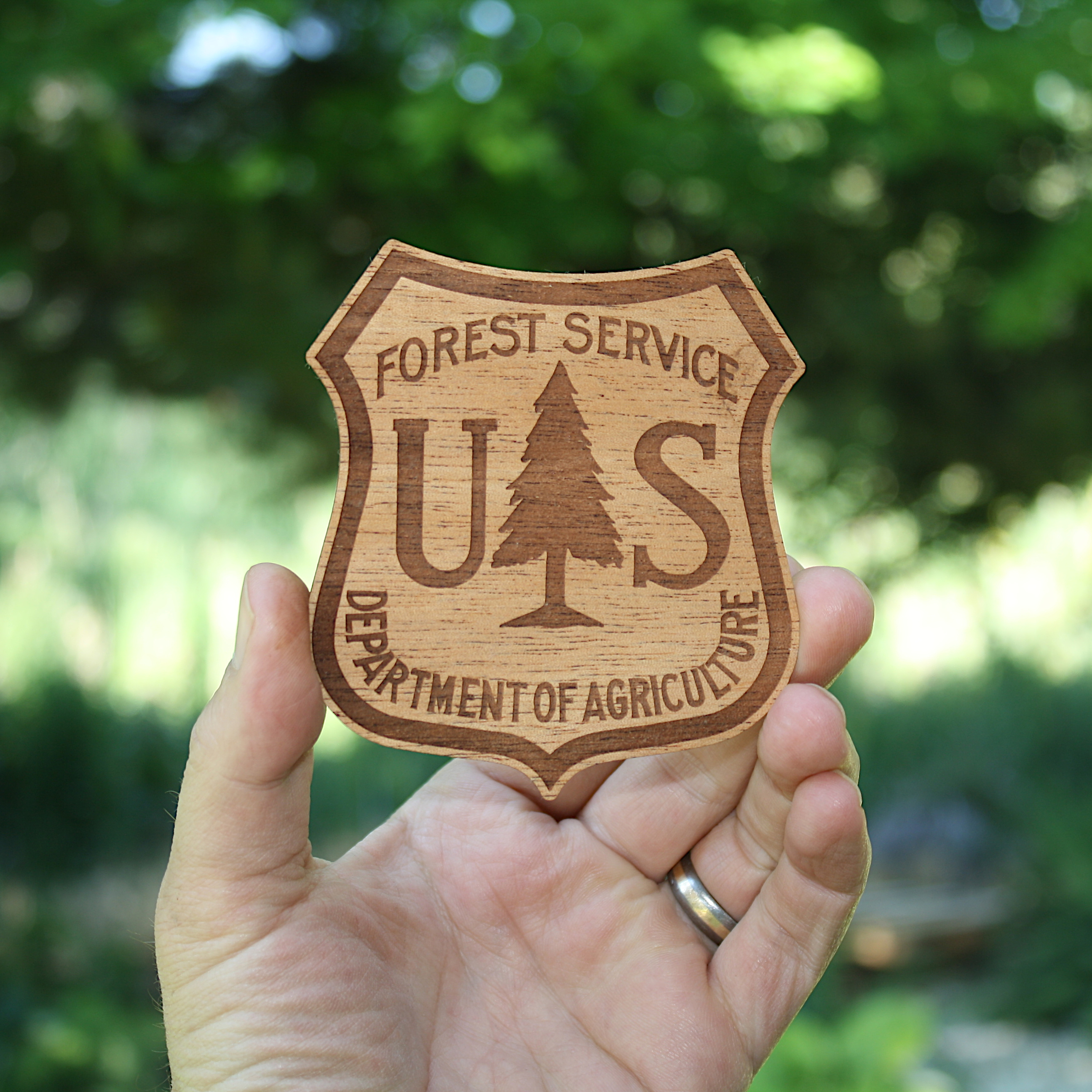 Wooden Logo Sticker (HAWKS) 1
