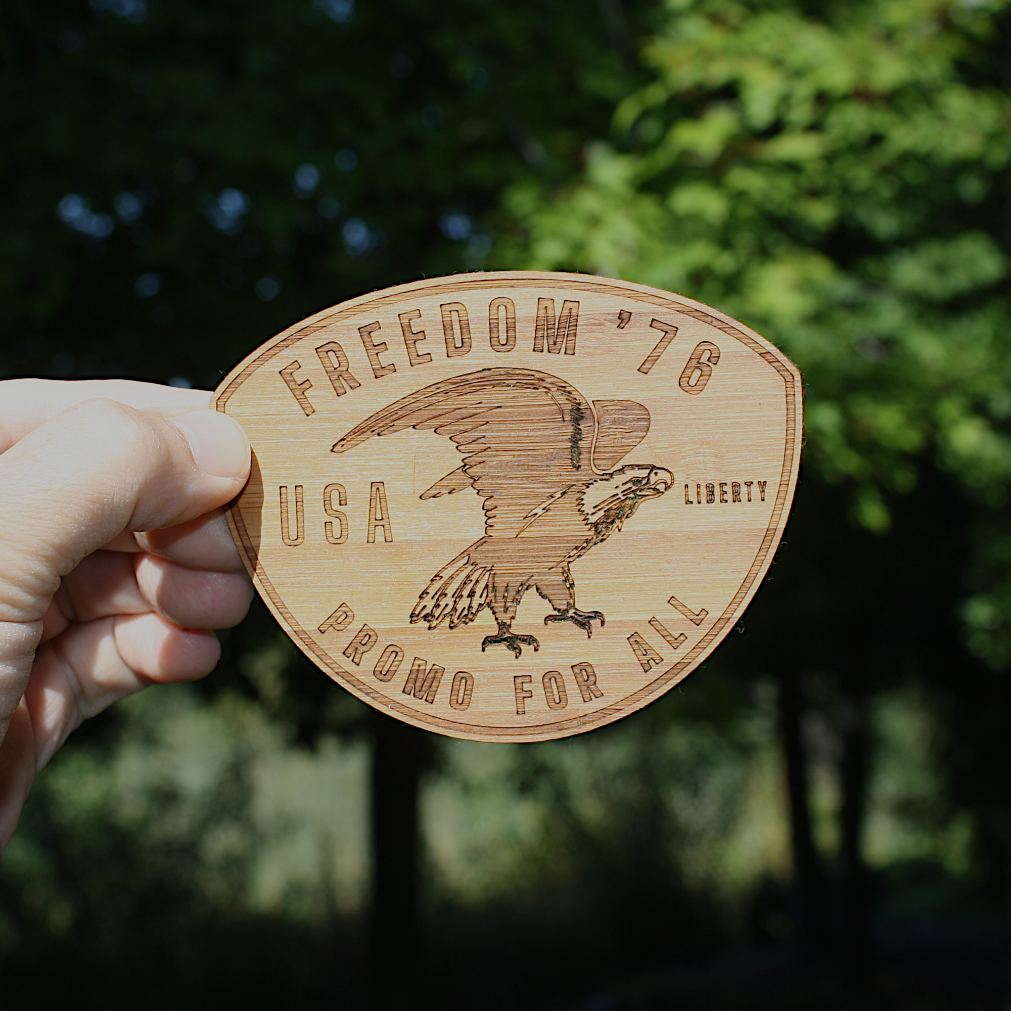 Wooden Logo Sticker (HAWKS) 1