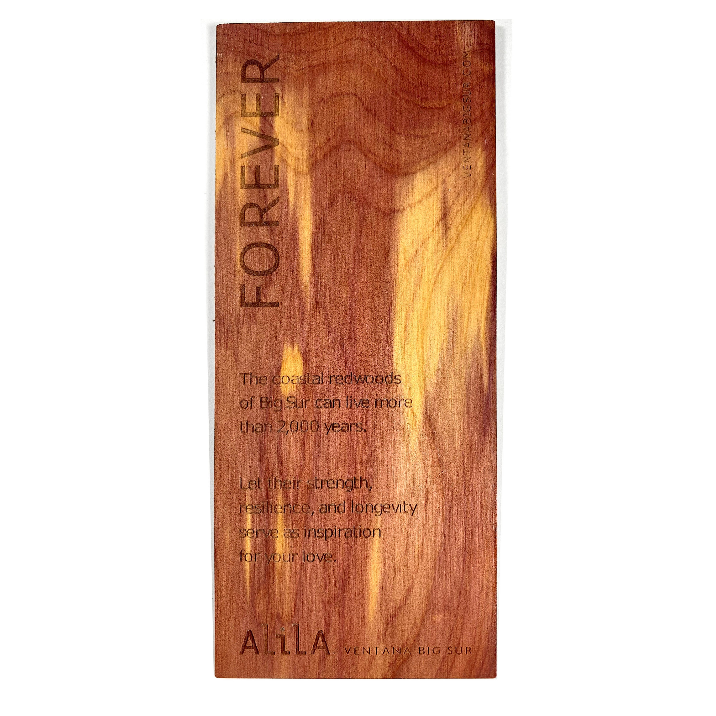 Large Real Wood Bookmark Slim 1