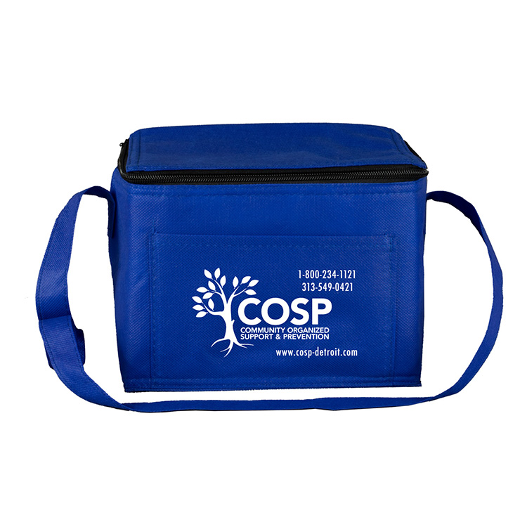 "Cool-It" Non-Woven Insulated Cooler Bag 1