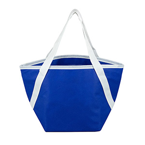 Zipper Cooler Tote, insulated tote bag, 6-pack size, convenient carry, picnic essential, beach trips 1