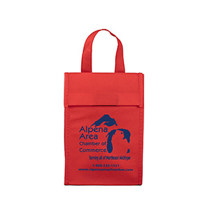 6-1/2"W x 9"H x 3 ½"Gusset - "BAG-IT" Value Priced Lightweight Lunch Tote Bag 1