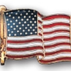 " US American Flag" Stock Pin 1 " US American Flag" Stock Pin 1