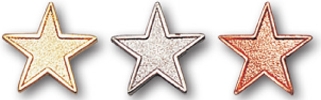"Star" Stock Pin 1