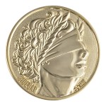 2 1/4" (2.25") Custom Challenge Coin Double Sided Struck Brass - High Polish Gold 2 1/4" (2.25") Custom Challenge Coin Double Sided Struck Brass - High Polish Gold