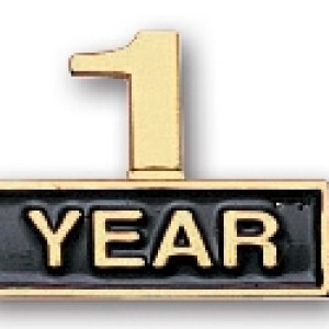 " Cutout One Year" Stock Pin 1 " Cutout One Year" Stock Pin 1