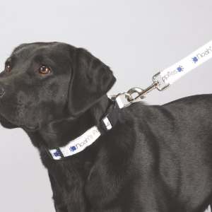 Full Color 1%27%27 Wide Premium Pet Leash 1 Full Color 1%27%27 Wide Premium Pet Leash 1