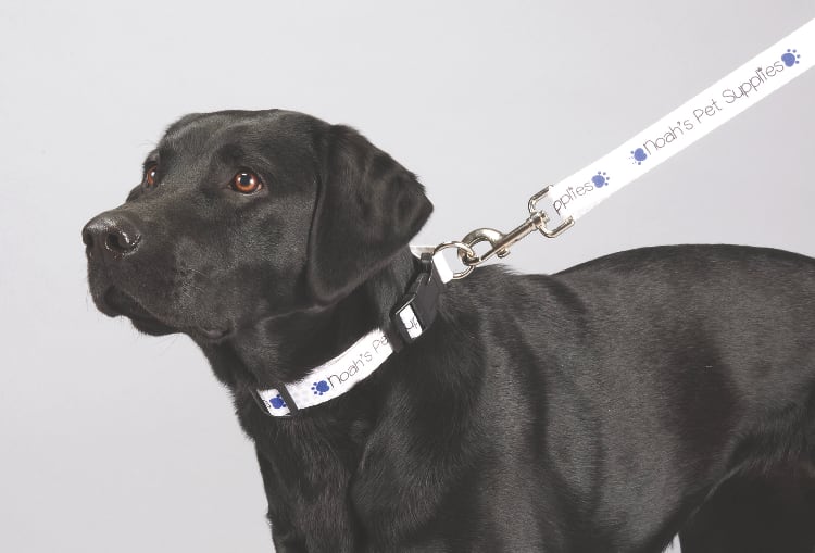Full Color 1%27%27 Wide Premium Pet Leash 1 Full Color 1%27%27 Wide Premium Pet Leash 1