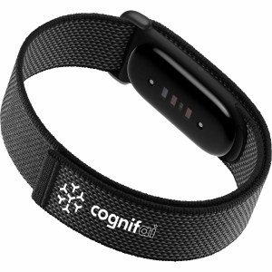 Google Fitbit Air 1 Google Fitbit Air 1