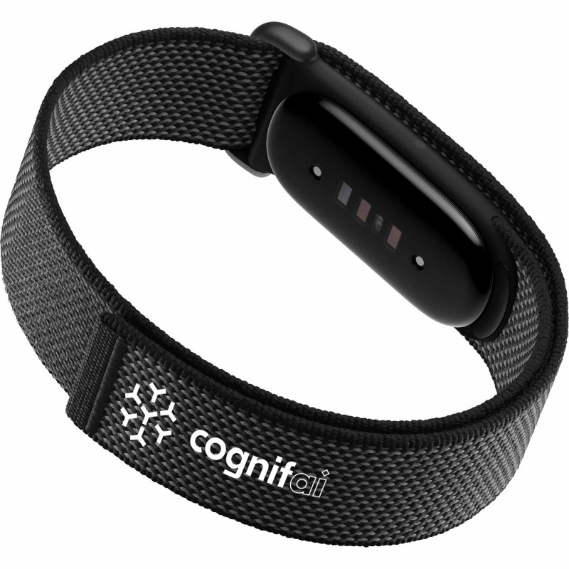 Google Fitbit Air 1 Google Fitbit Air 1