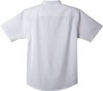 Men's LAMBERT OXFORD SS SHIRT - TM17733125Back Men's LAMBERT OXFORD SS SHIRT - TM17733125Back