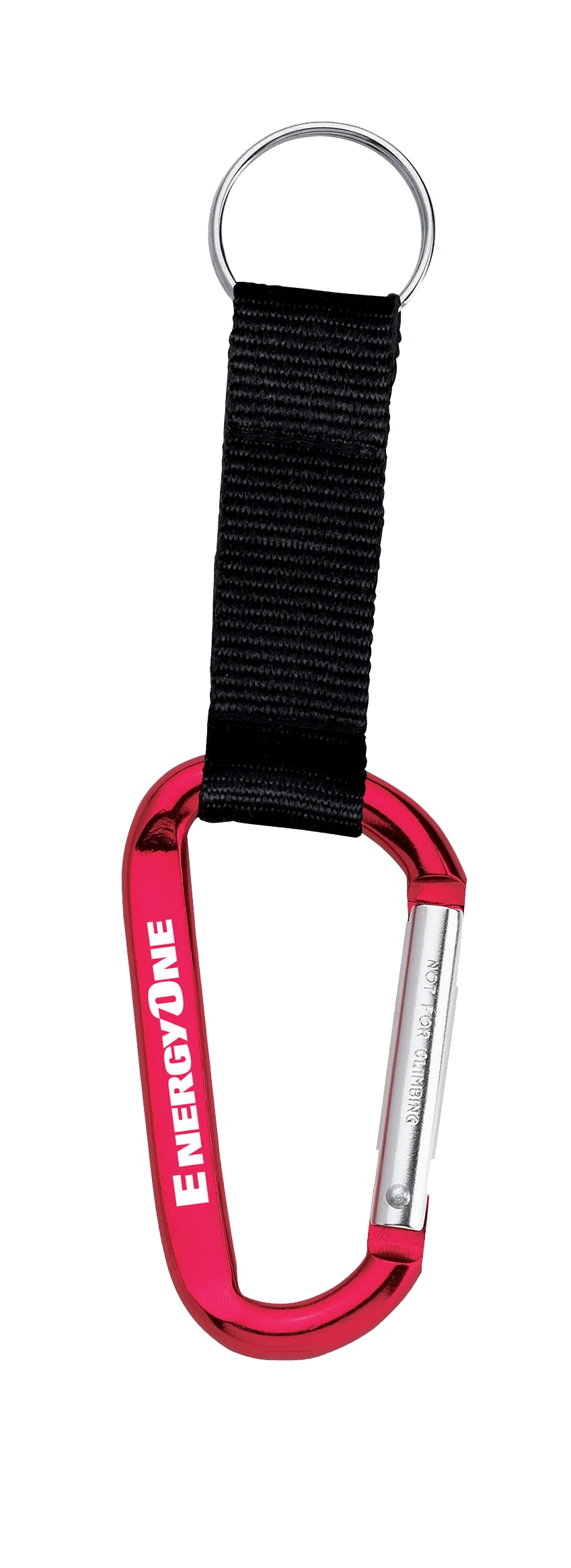 Large Carabiner Key Ring 1