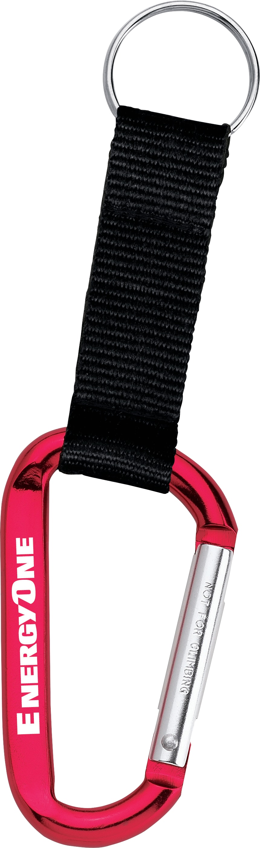 Large Carabiner Key Ring 1