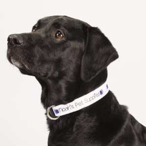 Full Color 1%27%27 Wide Adjustable Pet Collar 1 Full Color 1%27%27 Wide Adjustable Pet Collar 1