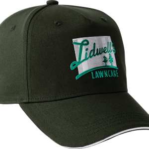 Unisex Zest Ballcap 1 Unisex Zest Ballcap 1