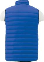 Men's WHISTLER Lightweight Down Puffer Vest - TM19898561Back Men's WHISTLER Lightweight Down Puffer Vest - TM19898561Back