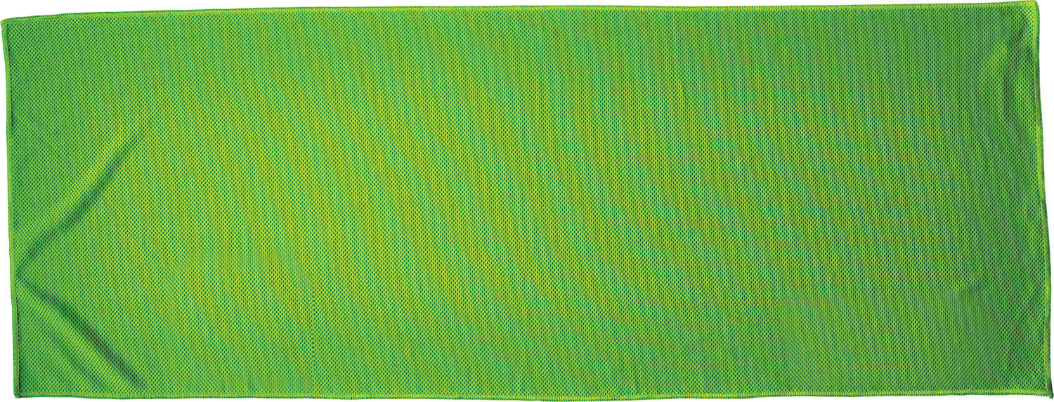 Alpha Fitness Towel 1