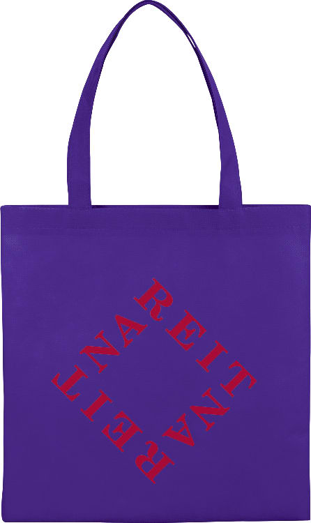Small Zeus Non-Woven Convention Tote 1