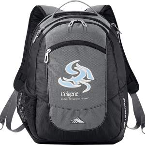 High Sierra Fly-By 17%27%27 Computer Backpack 1 High Sierra Fly-By 17%27%27 Computer Backpack 1